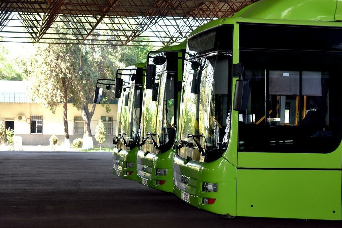 Toshkent jamoat transportida tonirovkali avtobuslar odam tashishni boshladi