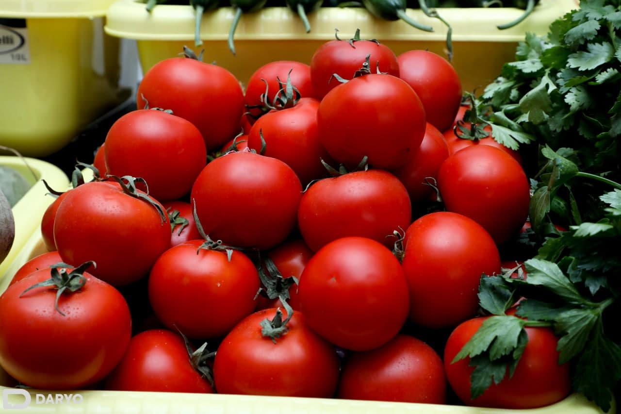 About 1 ton of products destroyed in Uzbekistan due to non-compliance with phytosanitary requirements
