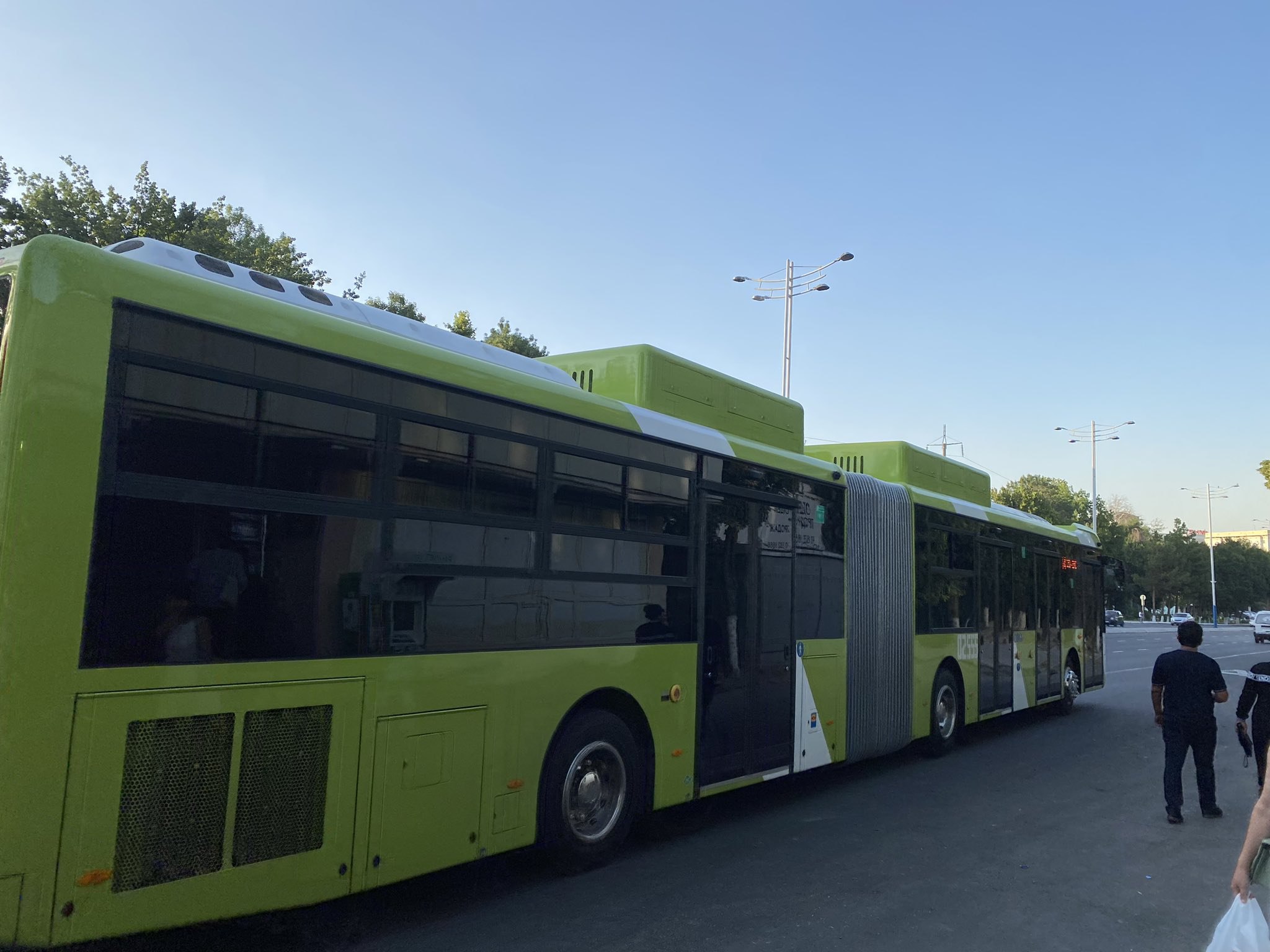 All buses of "Toshshahartranskhizmat" are "toned".