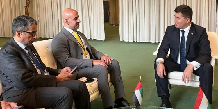 UAE called on Tajikistan to establish mutually beneficial cooperation