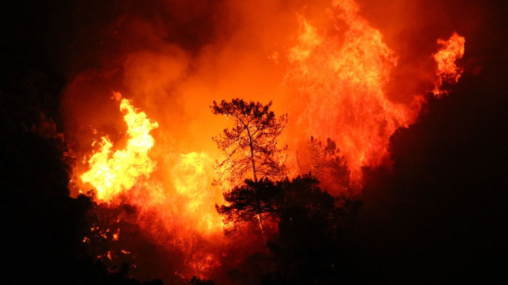 More than 30 people died as a result of fires in Algeria