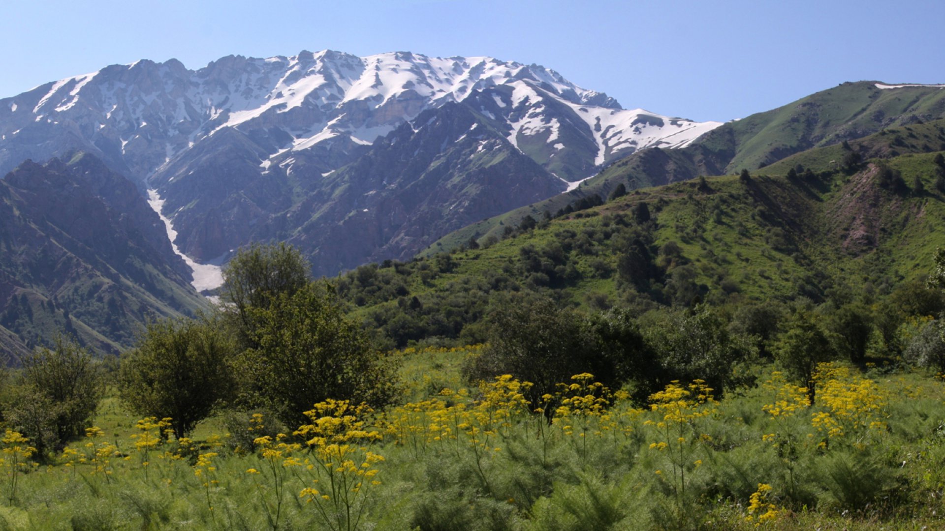 Rainy weather is expected in Uzbekistan from July 27