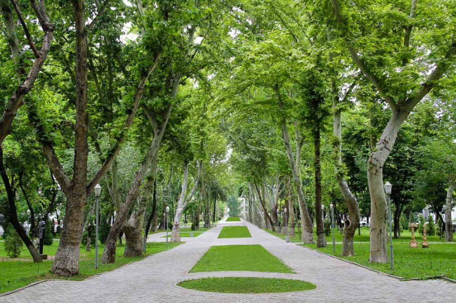 An additional 4,000 hectares of green areas will be created in Tashkent