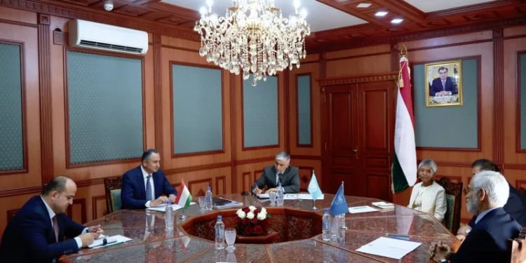Prospects for bilateral cooperation discussed with UN representatives in Bokhtar