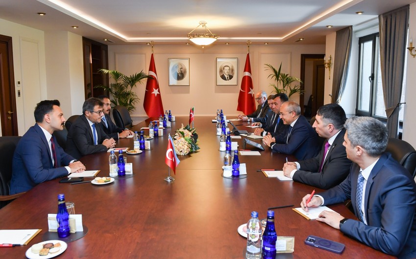 Azerbaijan discussed with Turkey stimulation of mutual investments