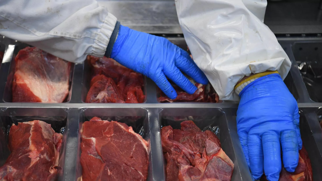 Dozens of tons of dangerous meat and eggs destroyed in Tajikistan