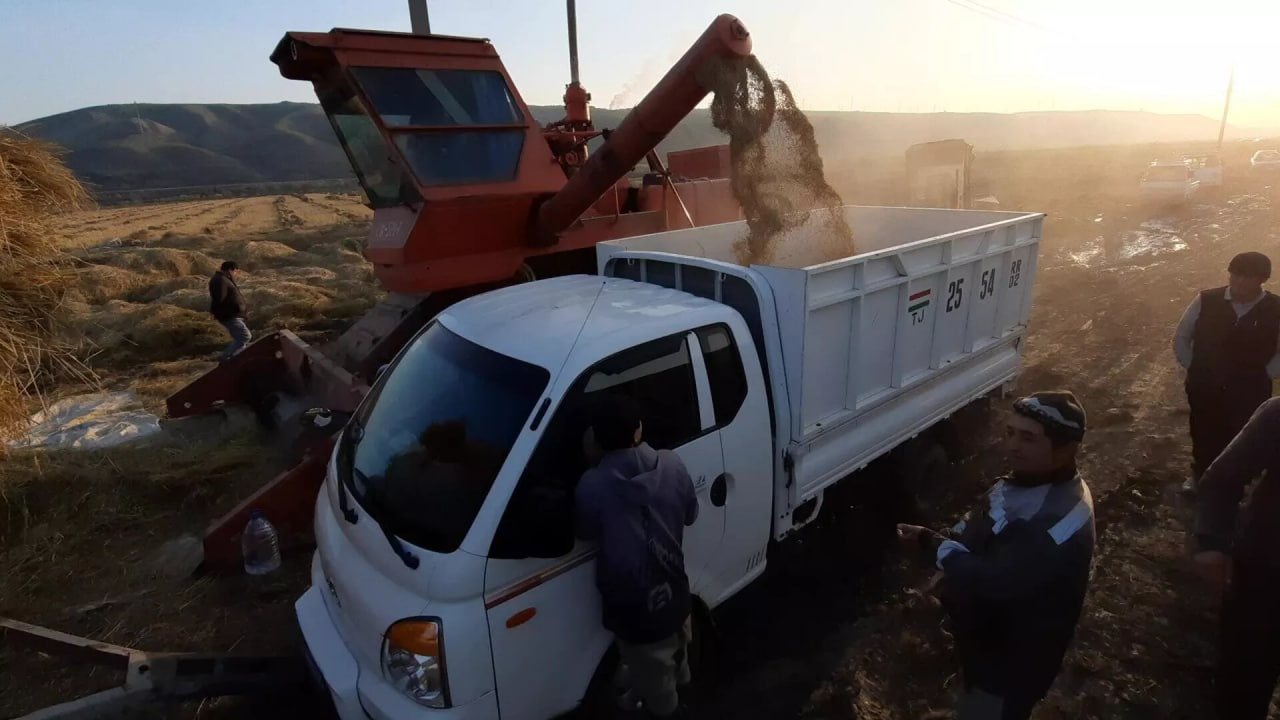The Ministry of Agriculture of Tajikistan recorded an increase in yields