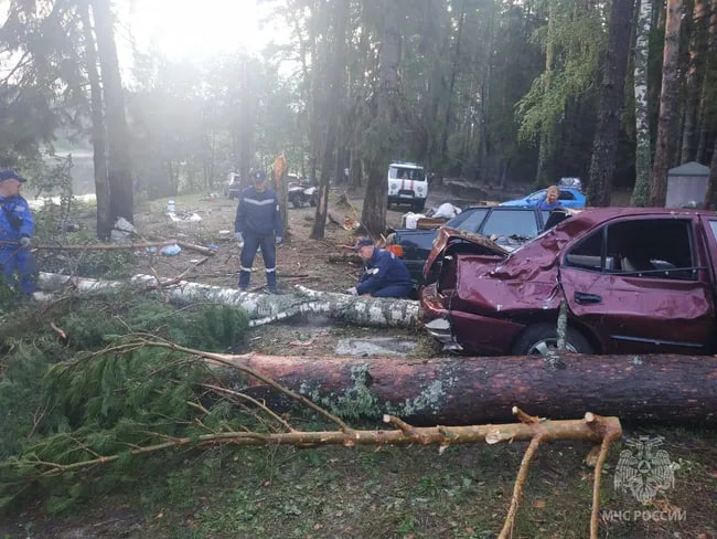 Storm in Marie El destroyed tents and felled trees in 20 minutes. Eight tourists died