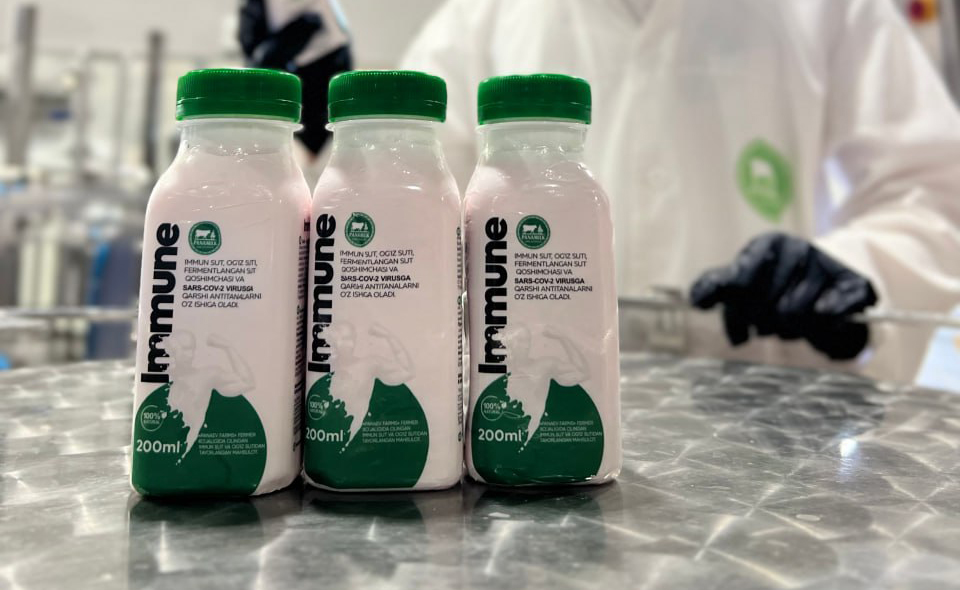 In Uzbekistan, milk capable of neutralizing coronavirus has been launched for sale