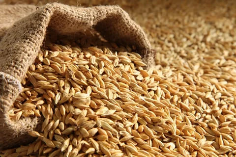 Kazakhstan introduces a ban on the import of wheat by rail
