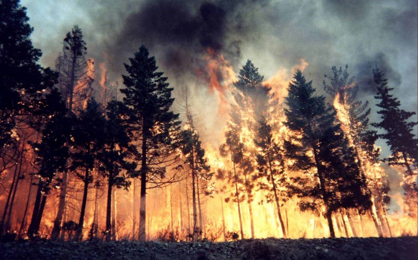 8 planes and 26 helicopters involved in extinguishing forest fire in Canakkale