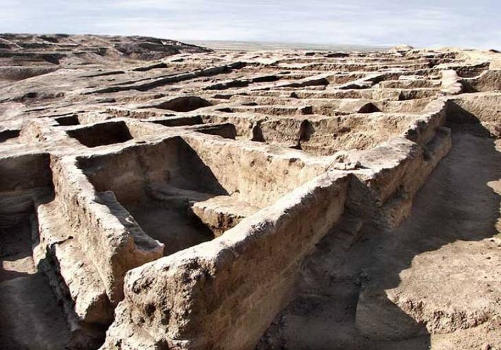 "Indifference and dishonesty" of officials in Shorchi cost 3.1 billion. fell to soums
