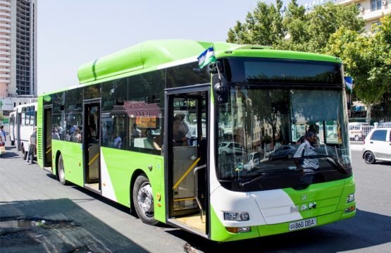 For the new academic year, it is planned to increase the number of buses and services in Tashkent