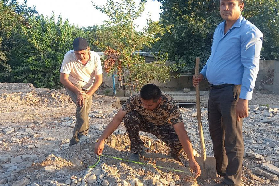 61 trees were cut down in order to repair the road in Surkhandarya