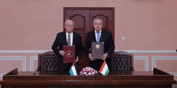 Political consultations between the Ministries of Foreign Affairs of Tajikistan and Palestine were held in Dushanbe