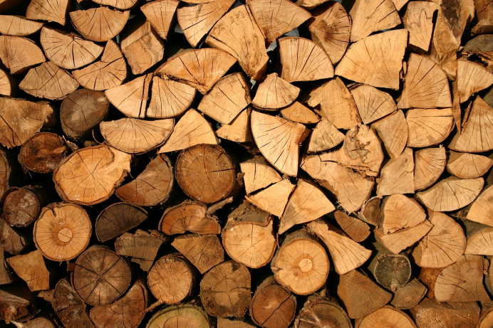 Turkmenistan increased the purchase of timber products from the Perm Territory by more than 20%