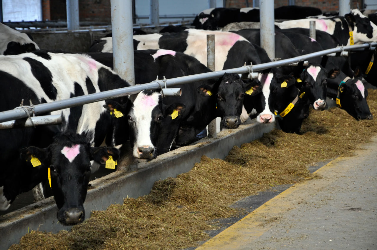 In Uzbekistan, state services are also provided for granting the status of a breeding farm