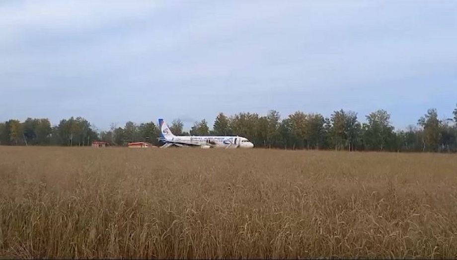 Rossiyada yo‘lovchi samolyoti dalaga qo‘ndi