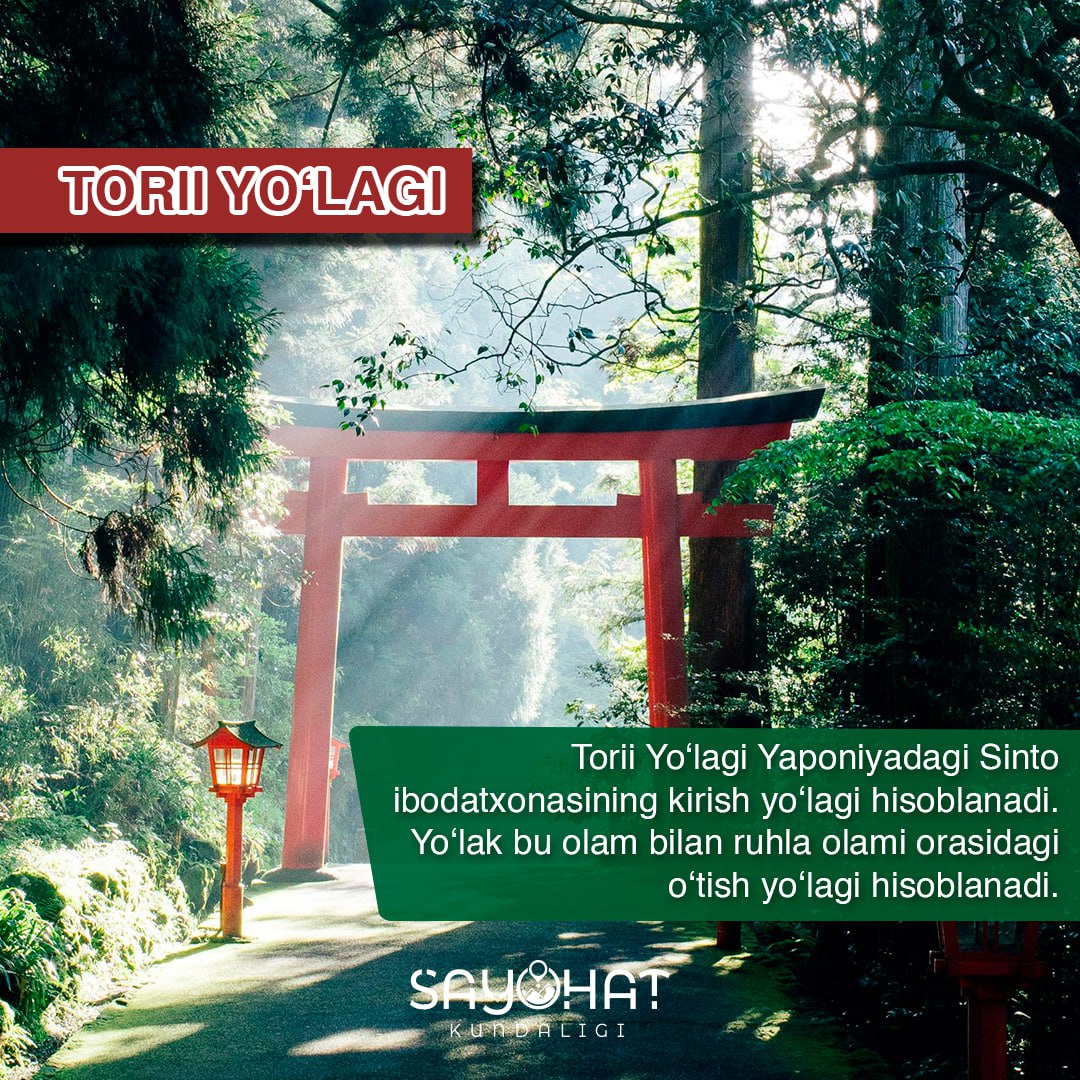 Tori yo'lagi