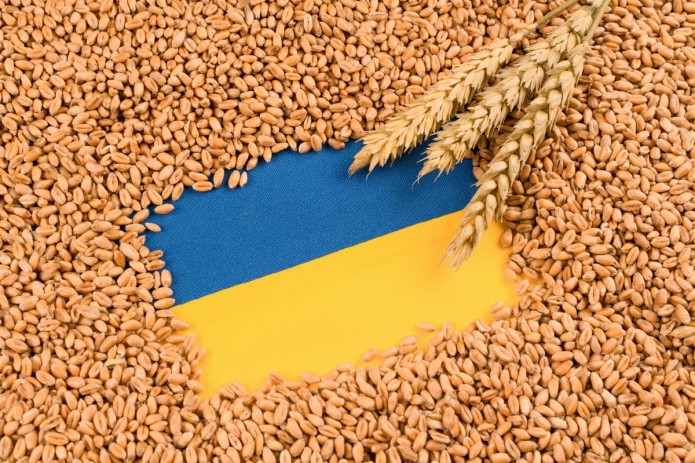 Ukraine filed a WTO complaint against three countries due to the ban on grain imports
