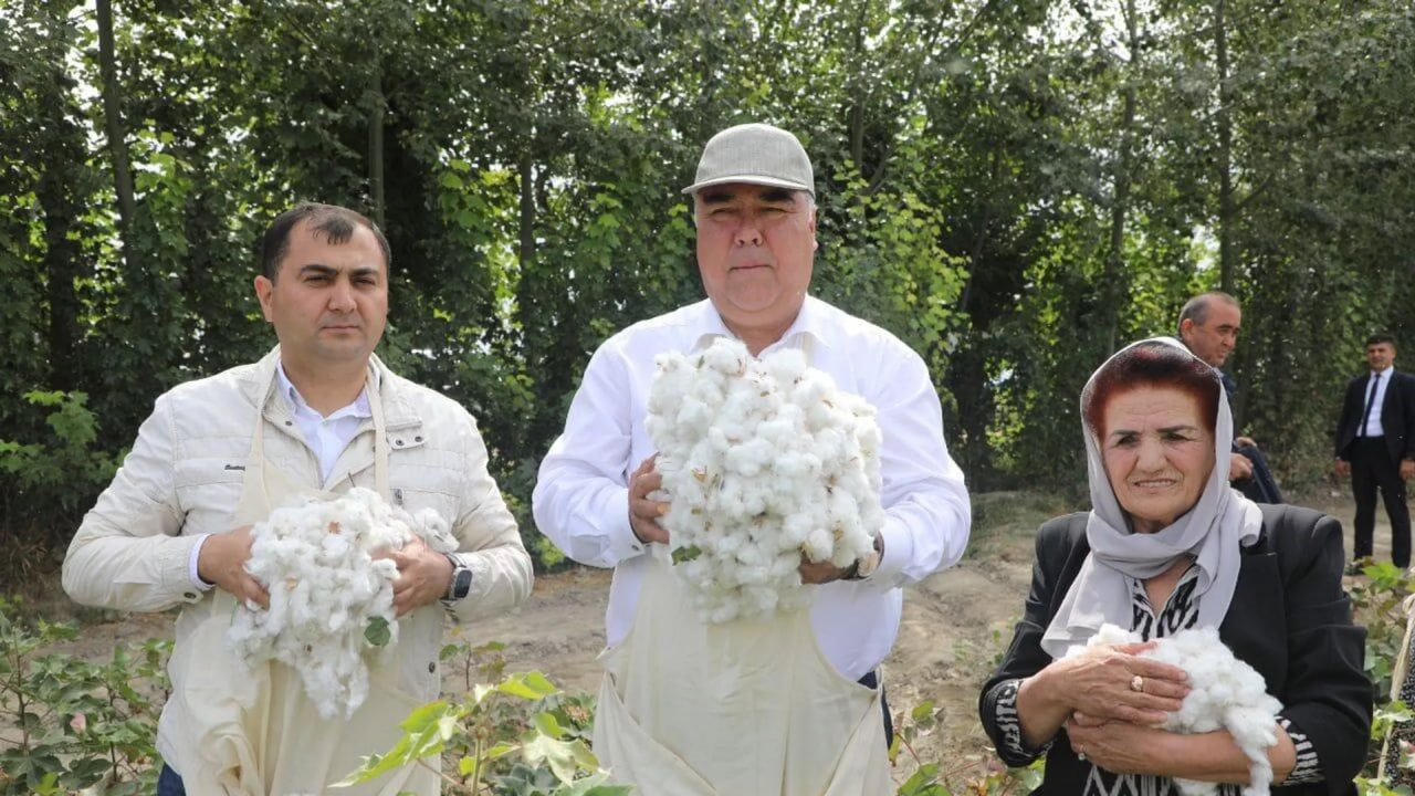 Akhmadzoda personally began picking cotton in Sogd
