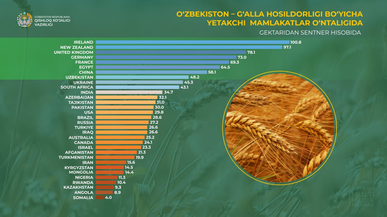 Uzbekistan entered the top ten countries in terms of grain productivity