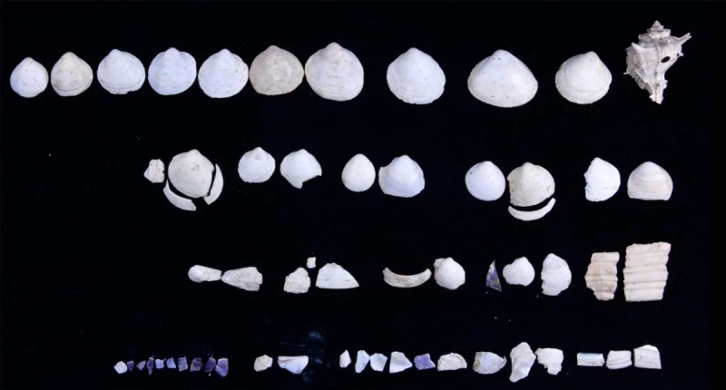 Two-thousand-year-old cosmetics were found in Turkey