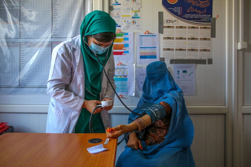 An Afghan woman has prepared an anti-stroke drug from the plant