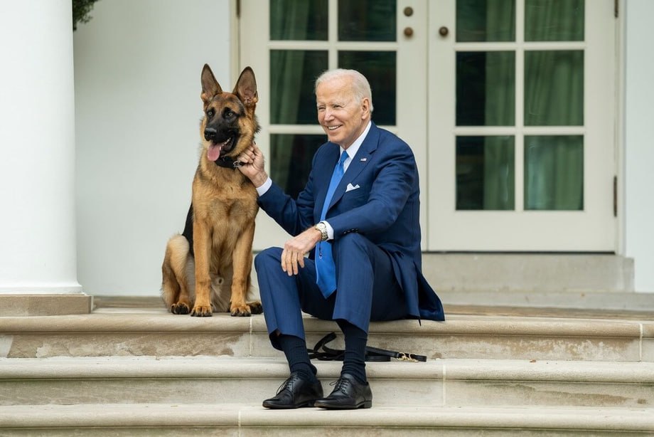 Biden's dog was kicked out of the White House