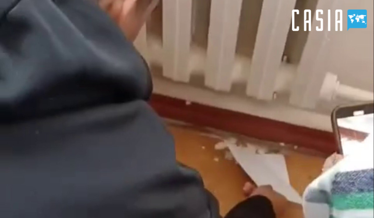 Official information was given on the discovery of a scorpion in a school classroom in Tashkent