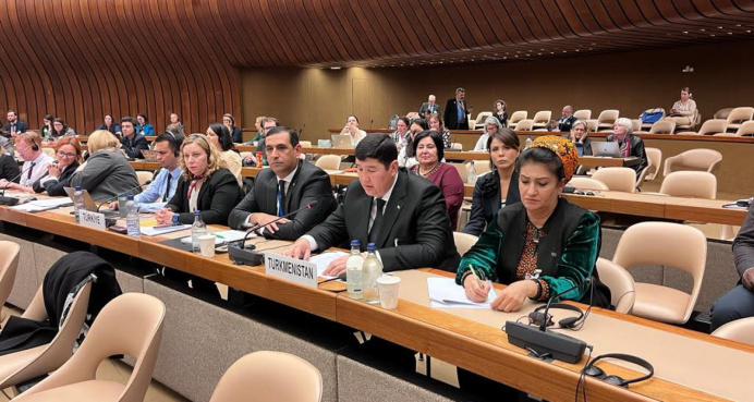 Turkmenistan presented its achievements in the field of population at a conference in Geneva