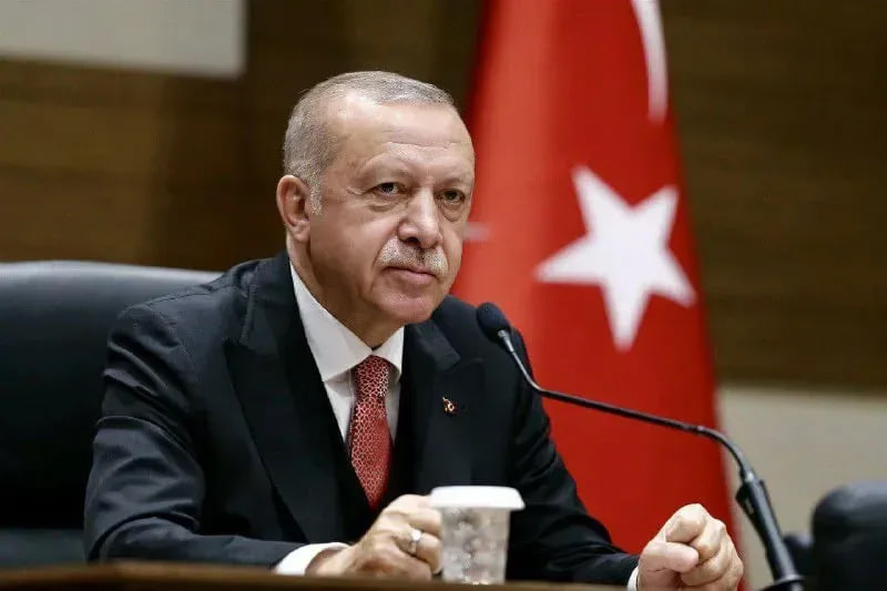 Erdogan signed the protocol on Sweden's NATO membership
