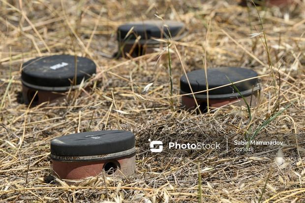 Deputy Minister: The mine problem slows down work in the liberated territories