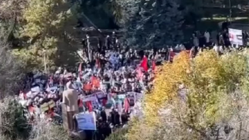 A rally in support of Palestine is being held in the center of Bishkek