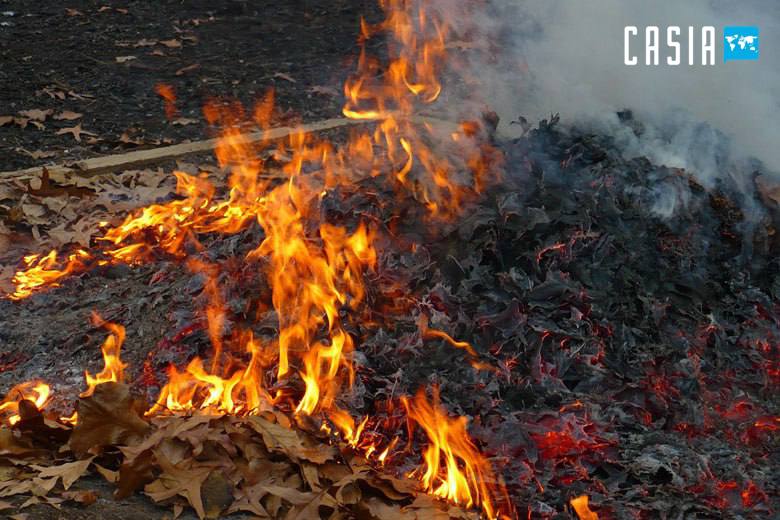 Now those who damage the environment by burning fallen leaves will be fined 3.3 million
