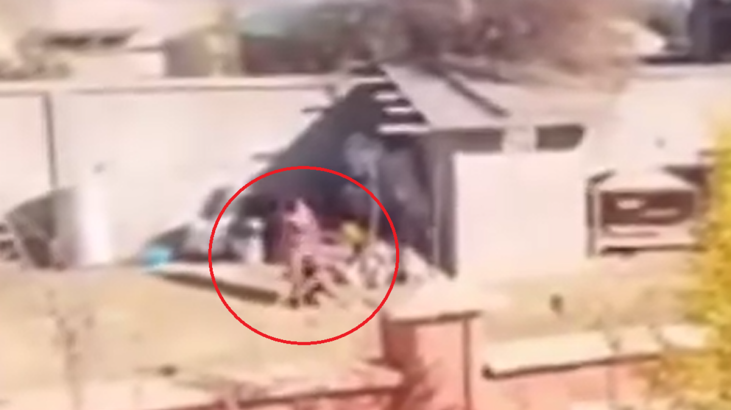 In one case, a mother brutally beat her 10-year-old child