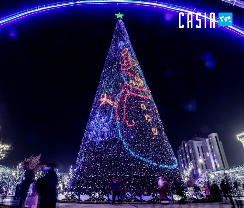In which locations of Tashkent were holiday trees installed?