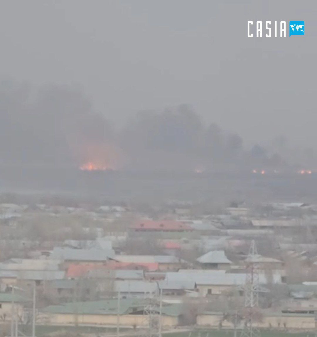 A criminal case was initiated on the fire that occurred in the national nature park in Samarkand