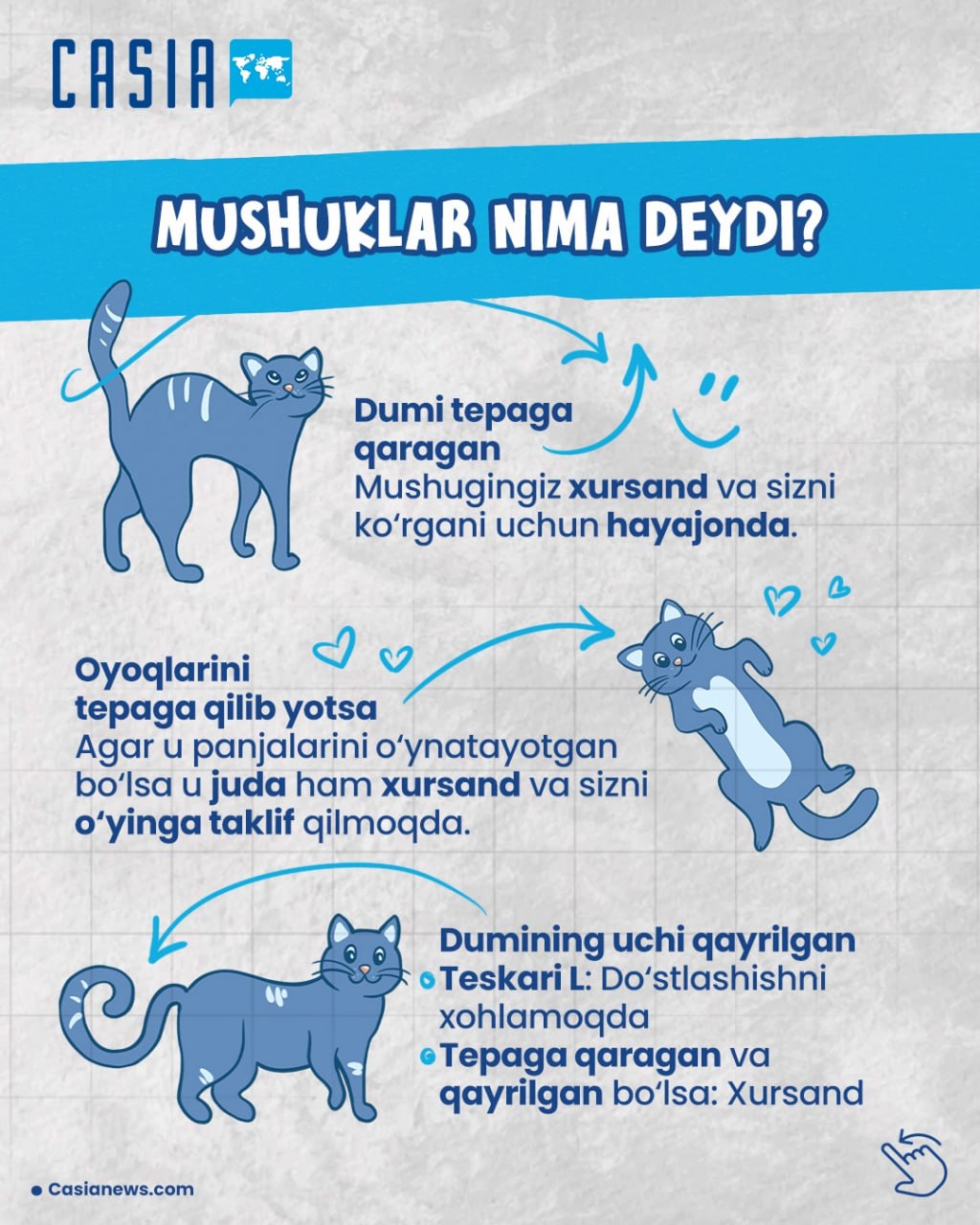 😺Mushuklar nima deydi?