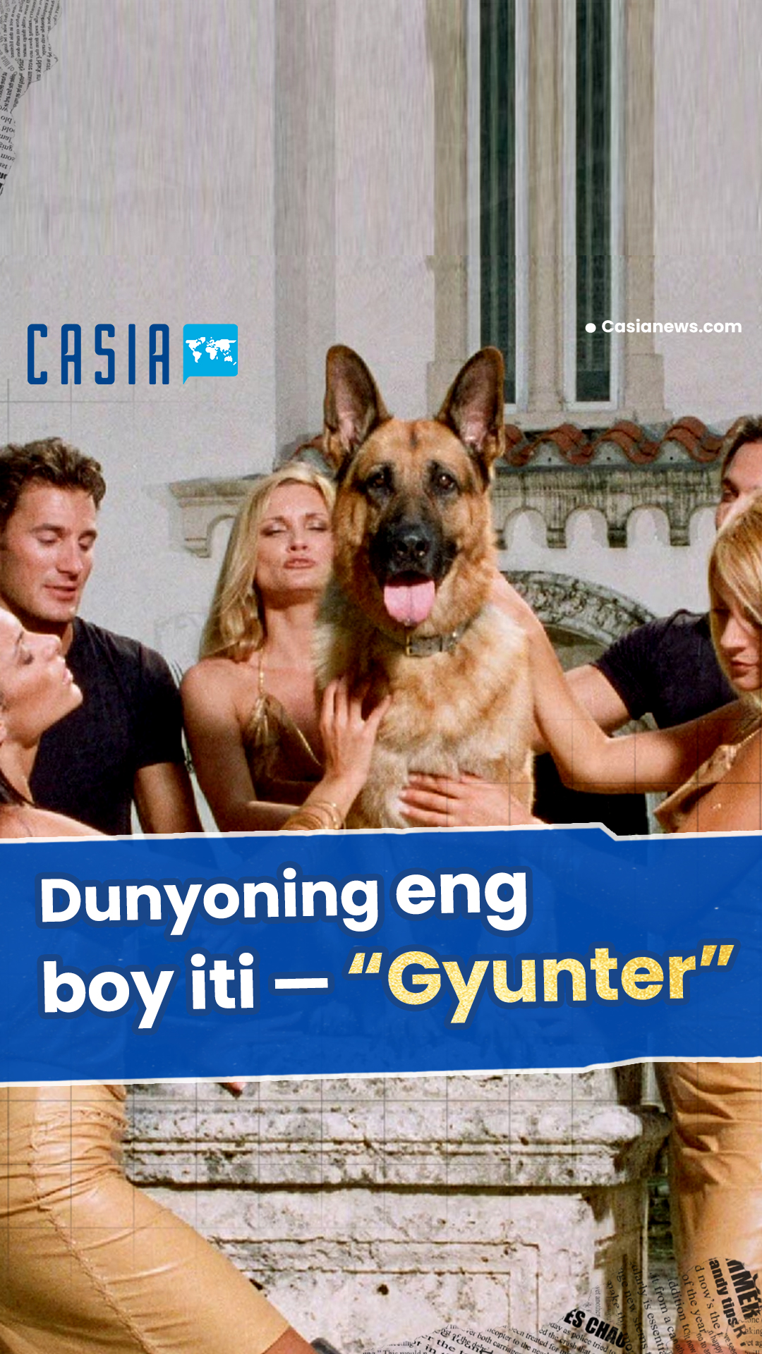 Gunter, the richest dog in the world