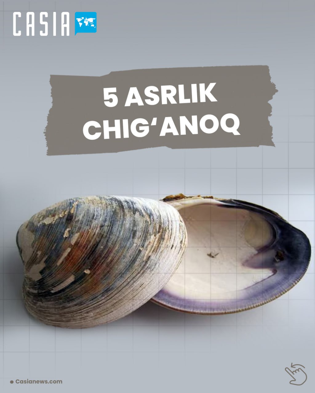 5 asrlik chig‘anoq