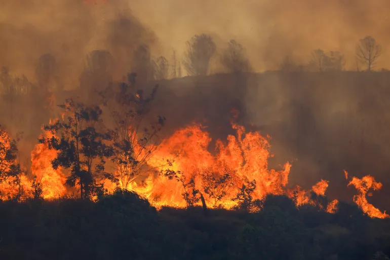 More than 10 people died in forest fires in Turkey