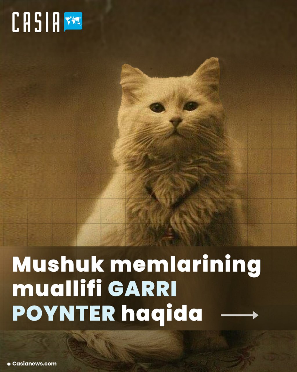About Harry Poynter, creator of cat memes