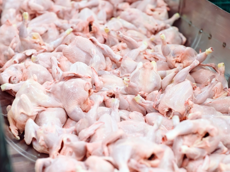 All restrictions on the export of poultry meat will be abolished