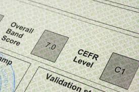 Some young people are financially encouraged for learning a language