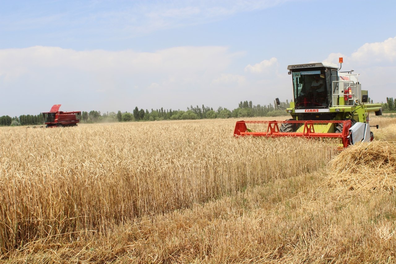 9 million tons of grain were grown in Uzbekistan