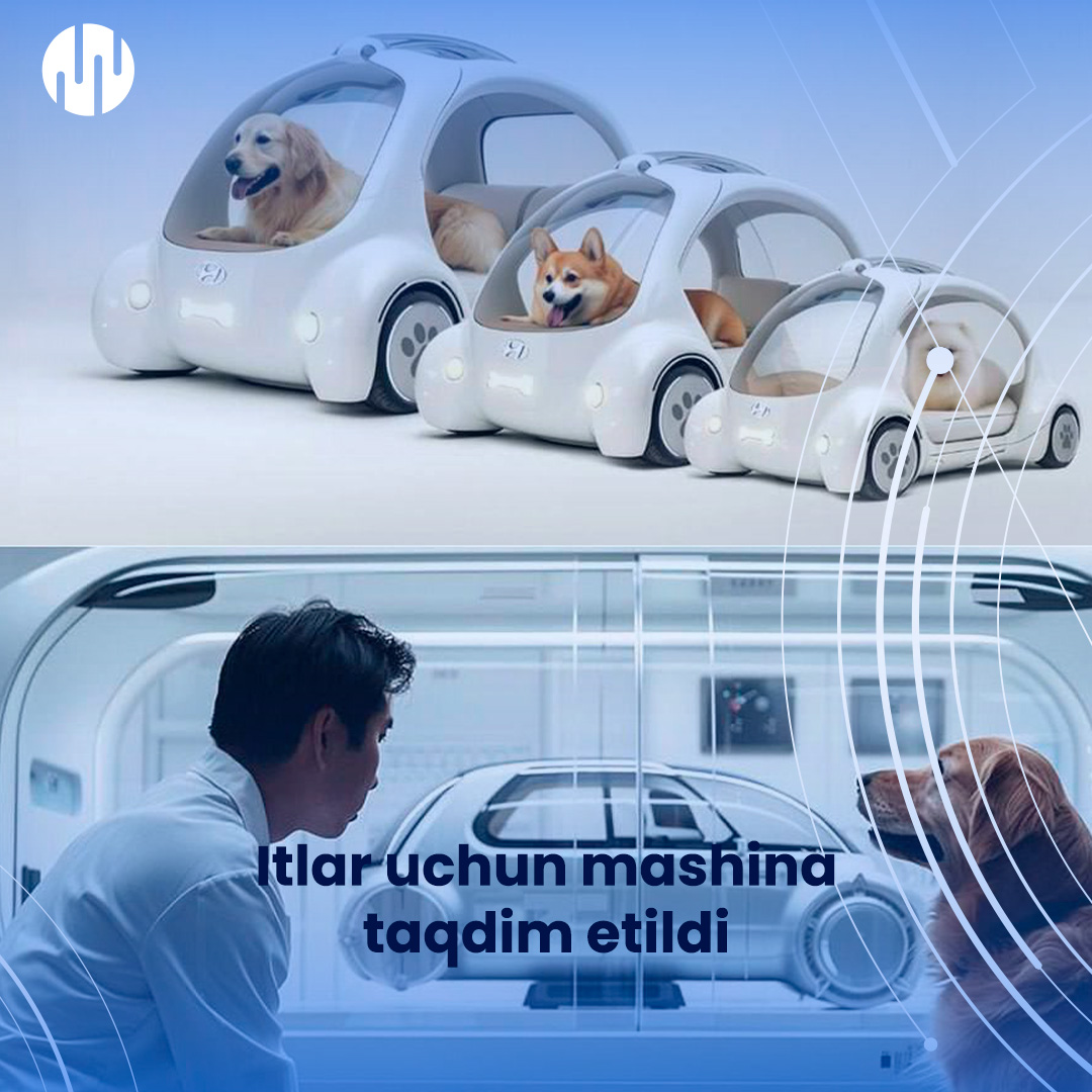 🐶 Now even dogs drive cars
