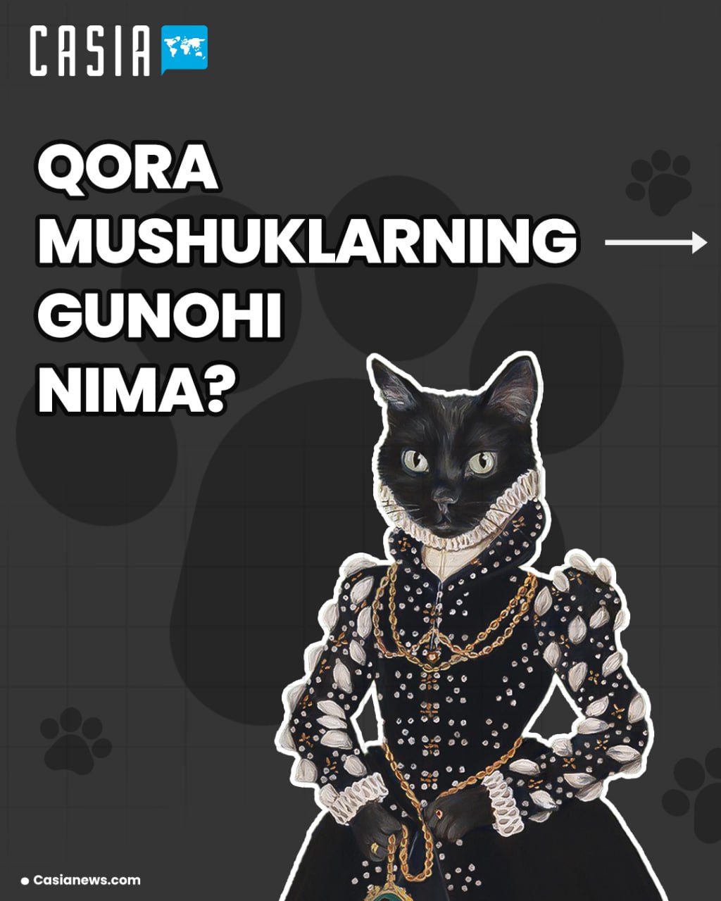 Qora mushuklarning gunohi nima?