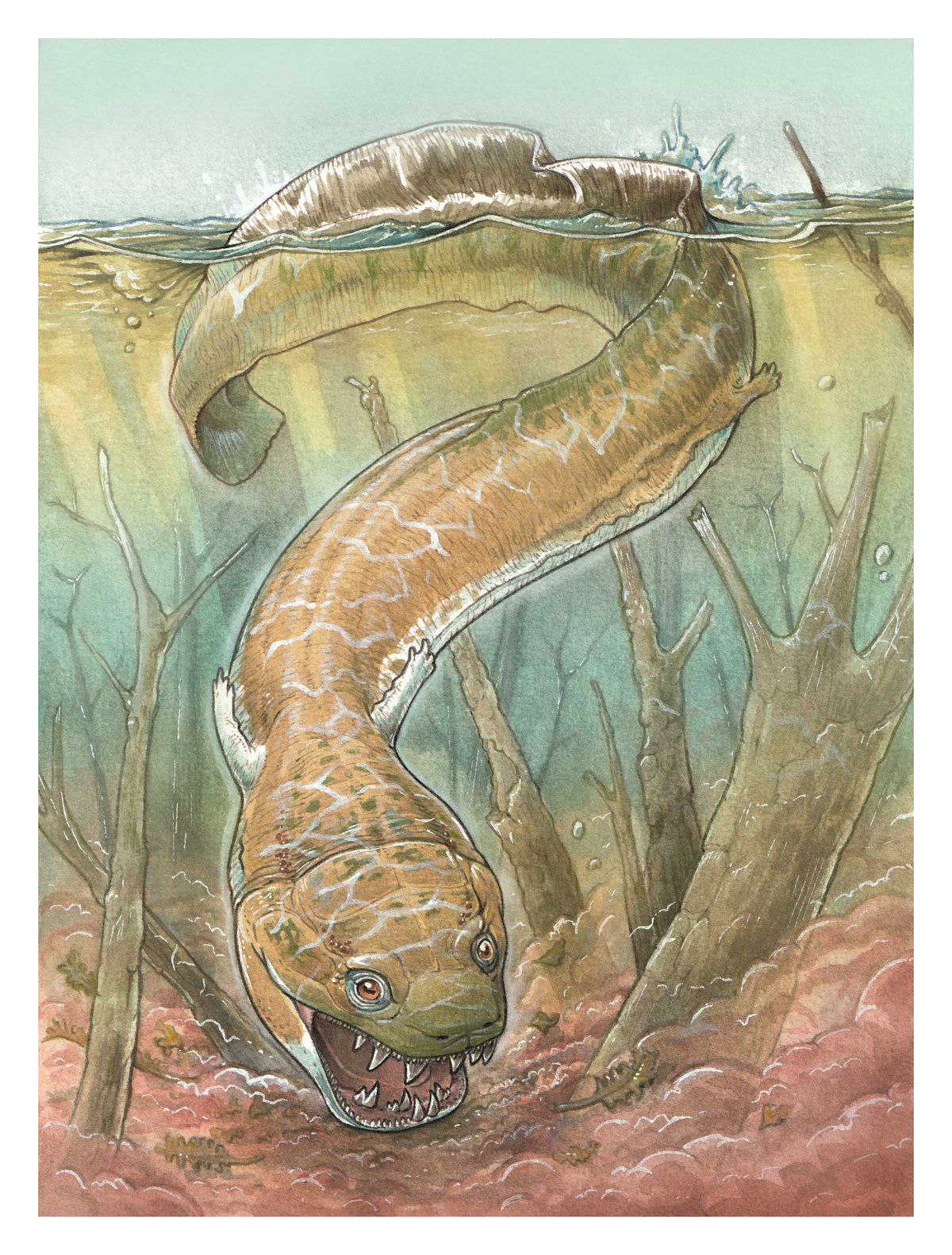 The remains of a huge creature were found in Namibia