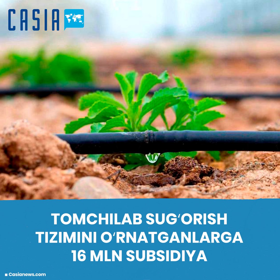 16 million subsidies to those who installed drip irrigation system💸